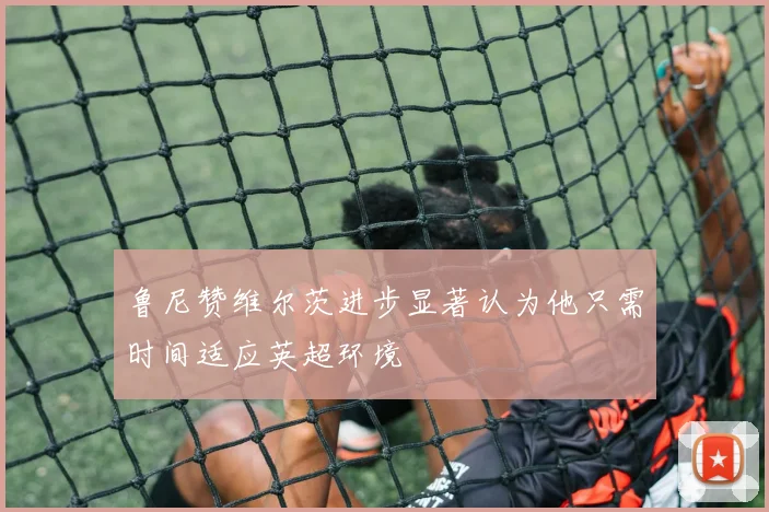 鲁尼赞维尔茨进步显著认为他只需时间适应英超环境